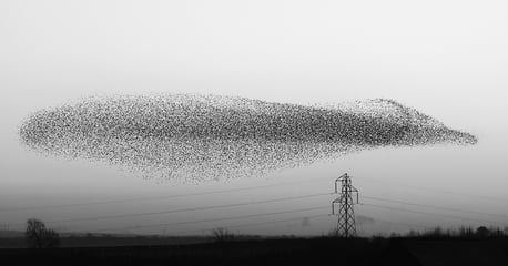 4 Cloud Migration Challenges and Ways to Overcome Them | Blog