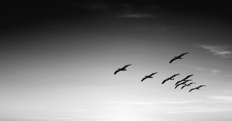 Healthcare Data Migration: A Complete Guide | Blog / IDS | Leaders in Data Certainty