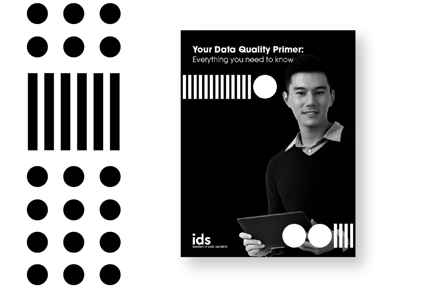 The Data Quality Primer from iData Academy