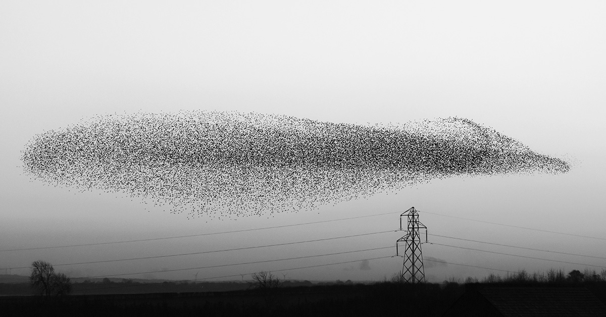 4 Cloud Migration Challenges and Ways to Overcome Them | Blog