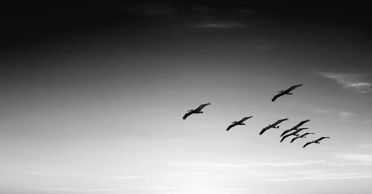 Healthcare Data Migration: A Complete Guide | Blog / IDS | Leaders in Data Certainty