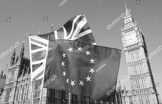 IDS_Website-img_v11_527x337