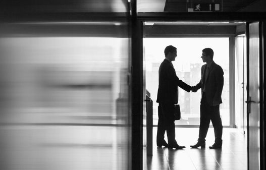 Partnerships | IDS